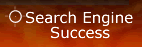 Search Engine Success