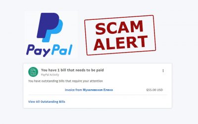 Yet Another Domain Scam